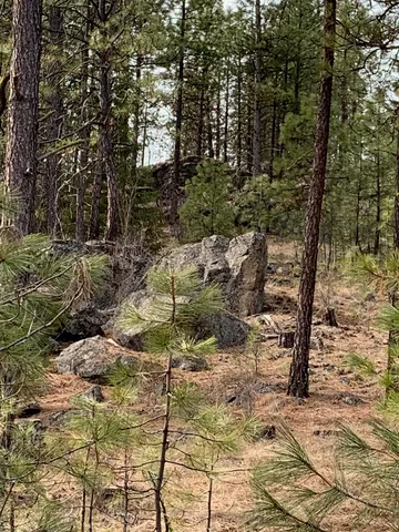 $48,000 | 3 Bob White Lane, Davenport, WA 99122