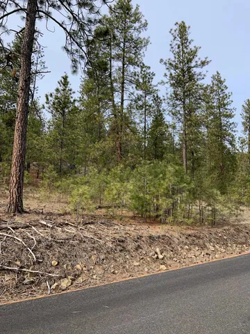 $48,000 | 3 Bob White Lane, Davenport, WA 99122