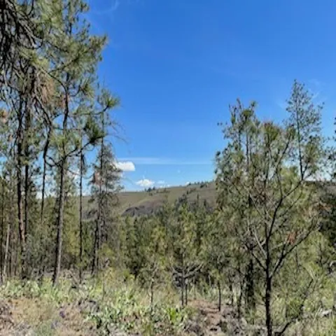 $48,000 | 3 Bob White Lane, Davenport, WA 99122