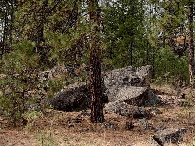 $48,000 | 3 Bob White Lane, Davenport, WA 99122