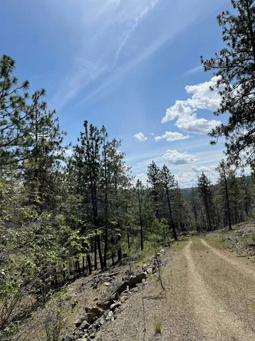 $48,000 | 3 Bob White Lane, Davenport, WA 99122