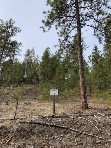 $48,000 | 3 Bob White Lane, Davenport, WA 99122