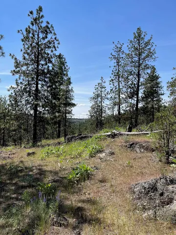 $48,000 | 3 Bob White Lane, Davenport, WA 99122