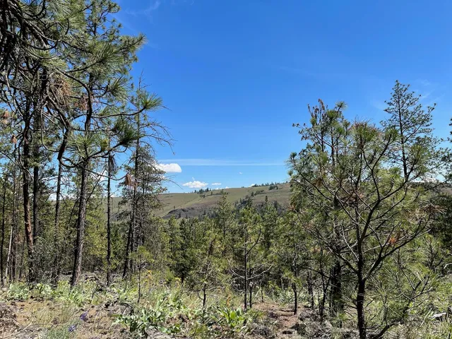 $48,000 | 3 Bob White Lane, Davenport, WA 99122