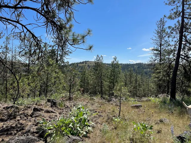 $48,000 | 3 Bob White Lane, Davenport, WA 99122