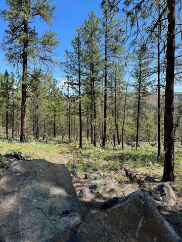 $48,000 | 3 Bob White Lane, Davenport, WA 99122