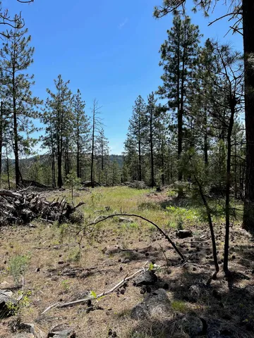 $48,000 | 3 Bob White Lane, Davenport, WA 99122