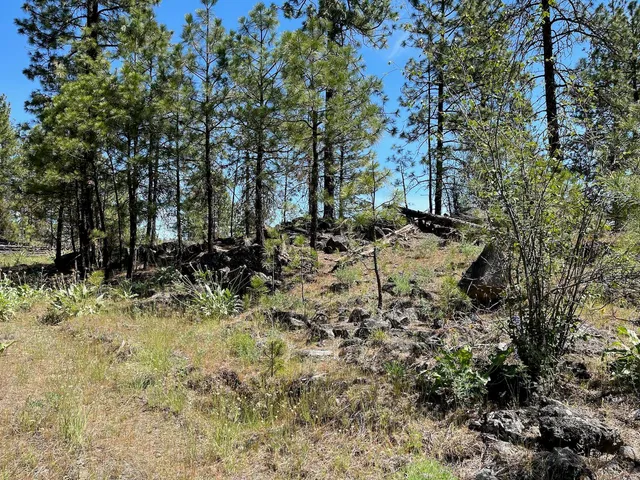 $48,000 | 3 Bob White Lane, Davenport, WA 99122