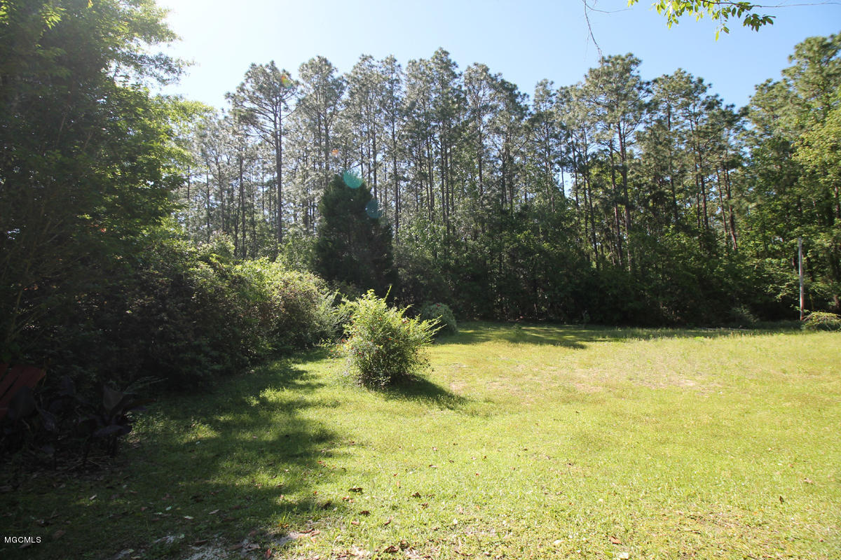 228 River Road Lucedale, MS 39452 - Photo 36 of 45 back yard