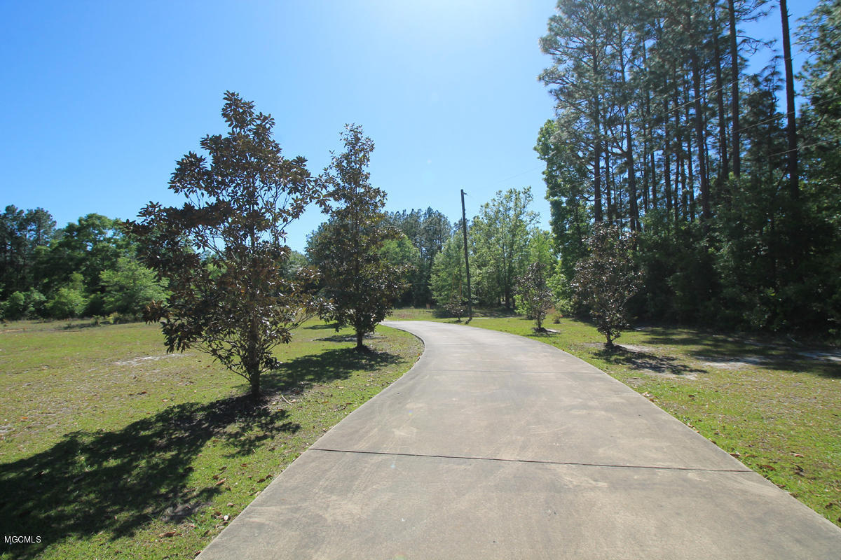 228 River Road Lucedale, MS 39452 - Photo 38 of 45 driveway