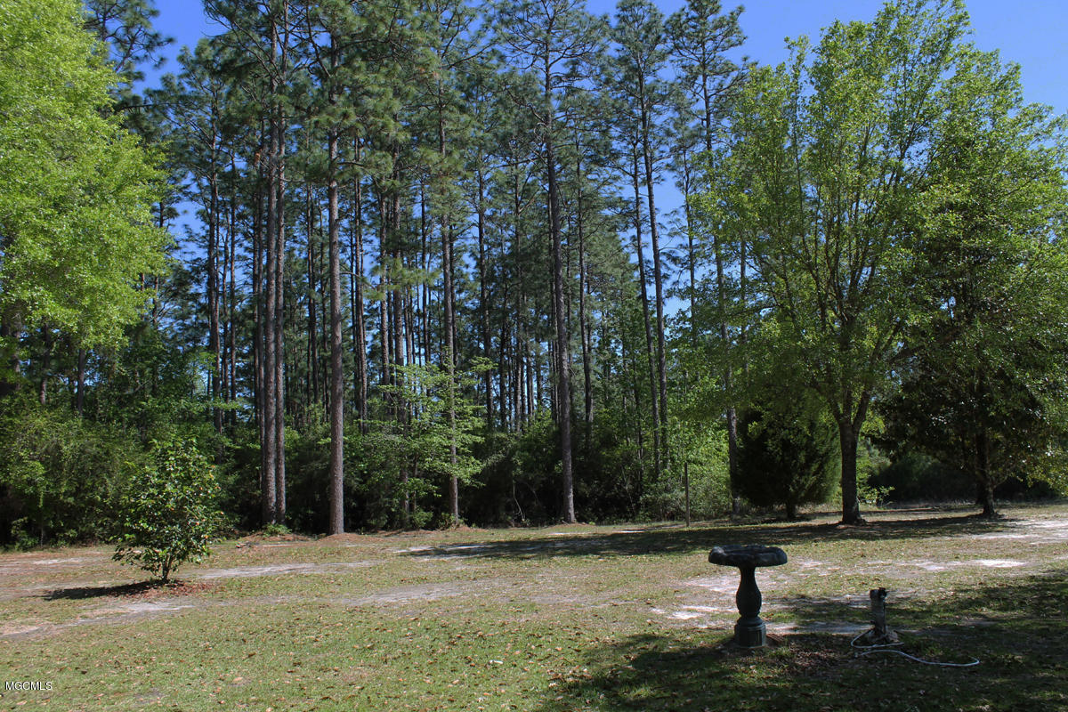 228 River Road Lucedale, MS 39452 - Photo 40 of 45 yard 3