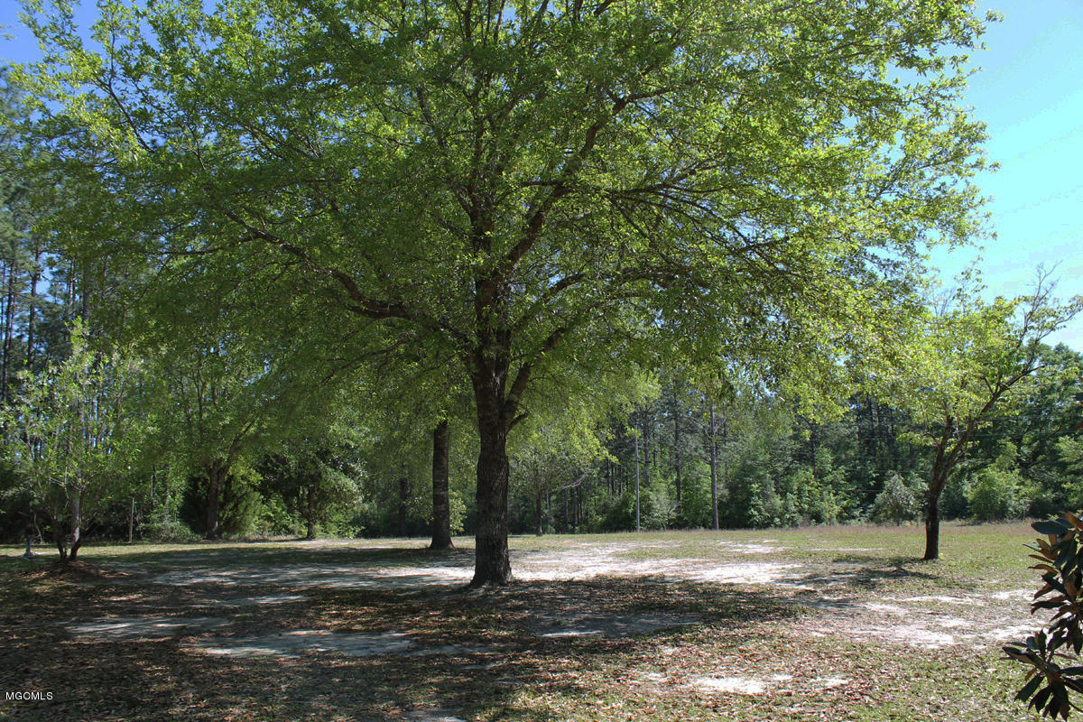 228 River Road Lucedale, MS 39452 - Photo 41 of 45 yard 4