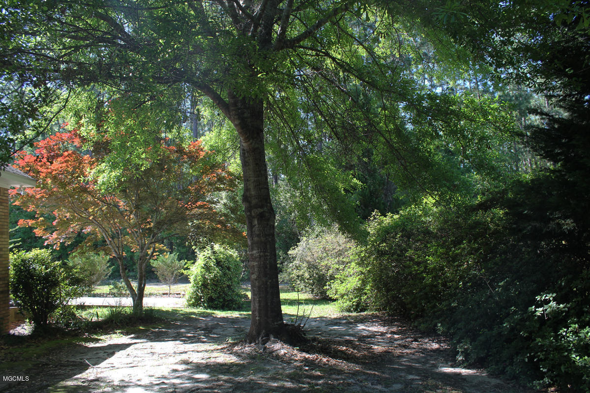 228 River Road Lucedale, MS 39452 - Photo 43 of 45 yard 7