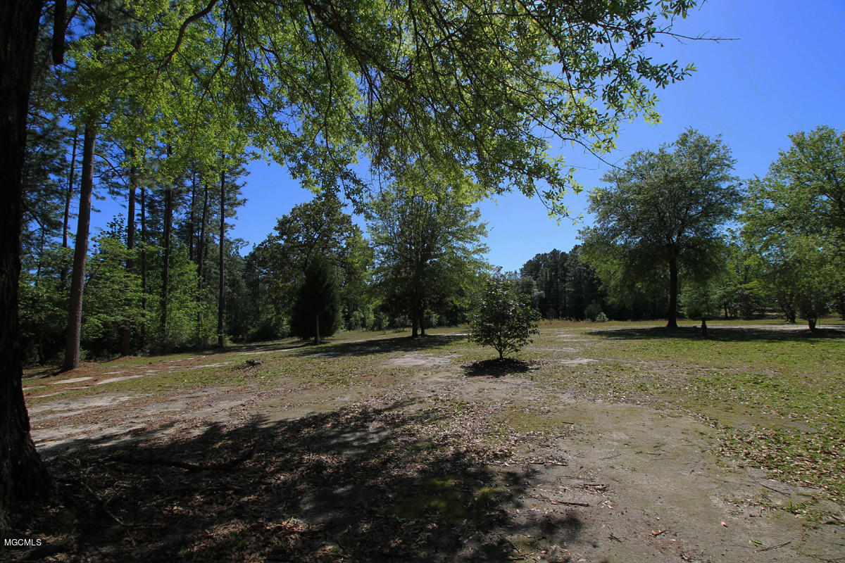 228 River Road Lucedale, MS 39452 - Photo 44 of 45 yard 10