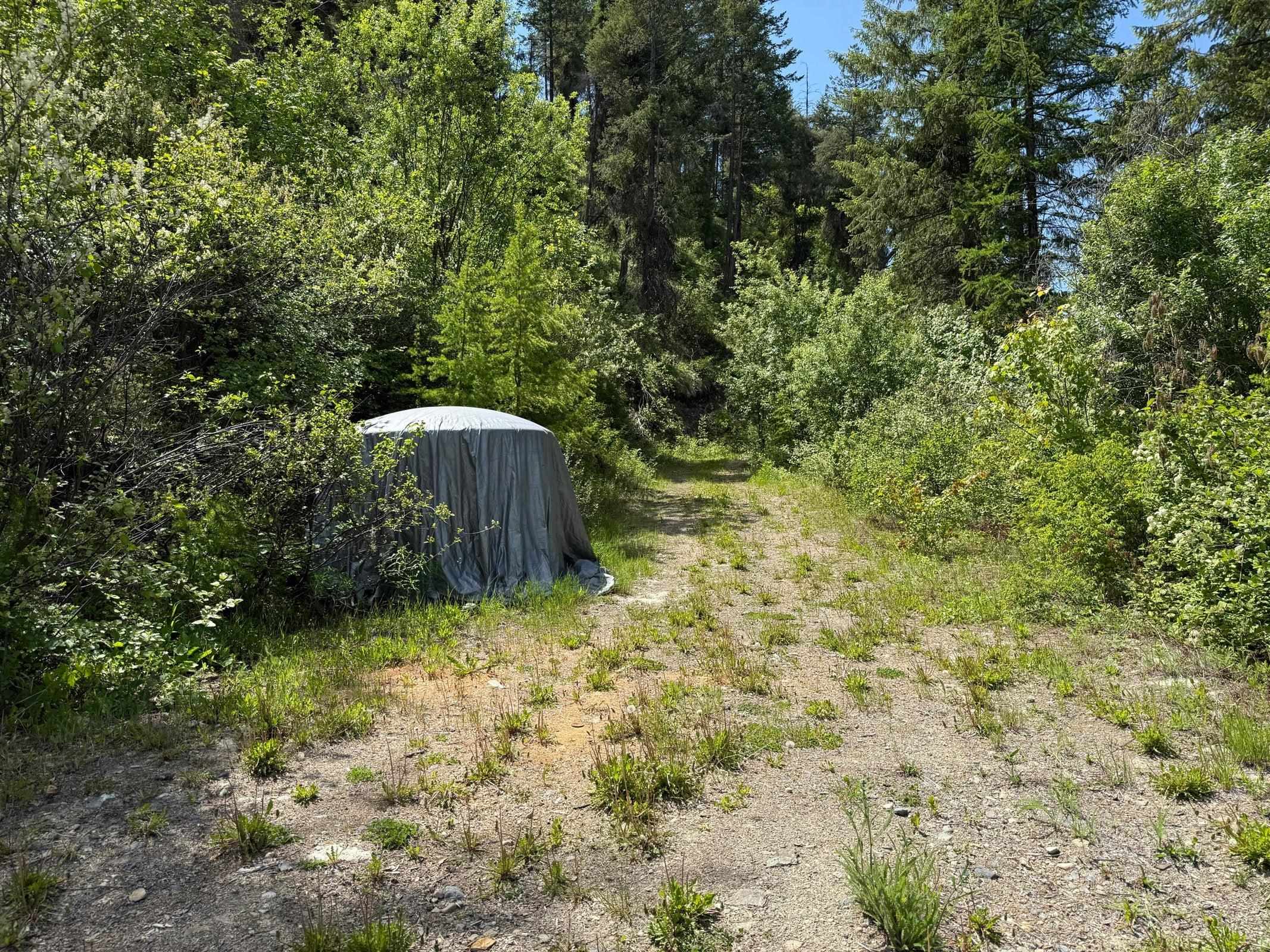 3774 C Daisy Mine Road Rice, WA 99167 - Photo 15 of 29