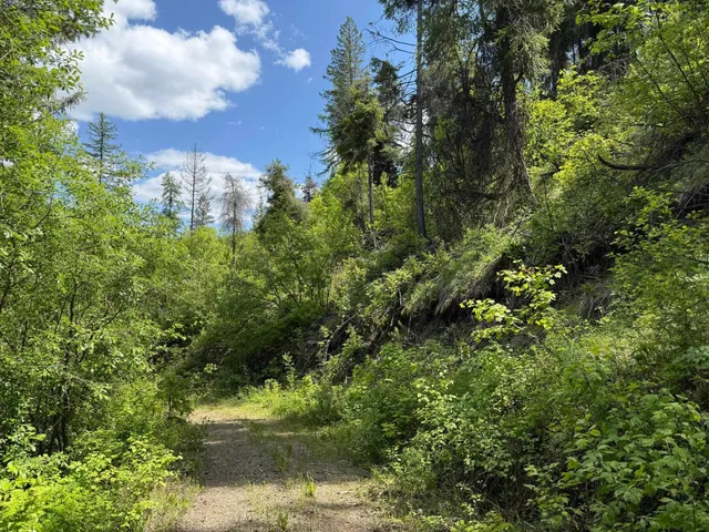 $125,000 | 3774 C Daisy Mine Road, Rice, WA 99167