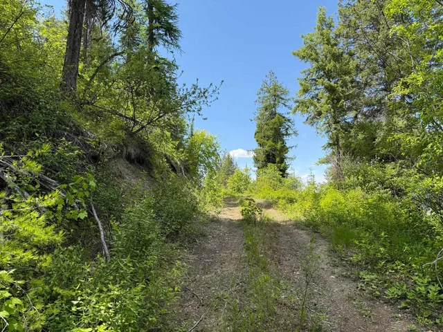 $125,000 | 3774 C Daisy Mine Road, Rice, WA 99167