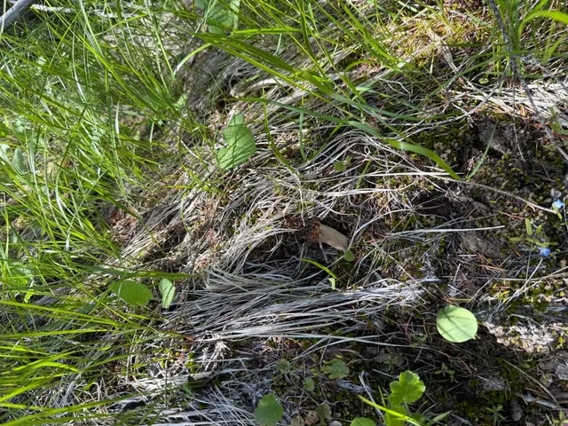 $125,000 | 3774 C Daisy Mine Road, Rice, WA 99167