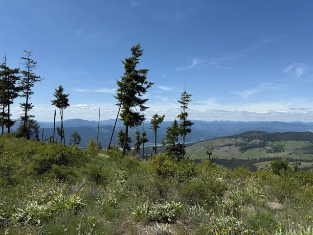 $125,000 | 3774 C Daisy Mine Road, Rice, WA 99167