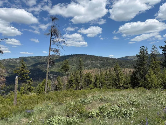 $125,000 | 3774 C Daisy Mine Road, Rice, WA 99167