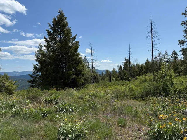 $125,000 | 3774 C Daisy Mine Road, Rice, WA 99167