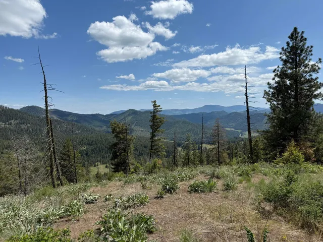 $125,000 | 3774 C Daisy Mine Road, Rice, WA 99167