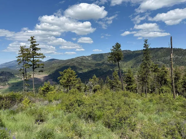 $125,000 | 3774 C Daisy Mine Road, Rice, WA 99167