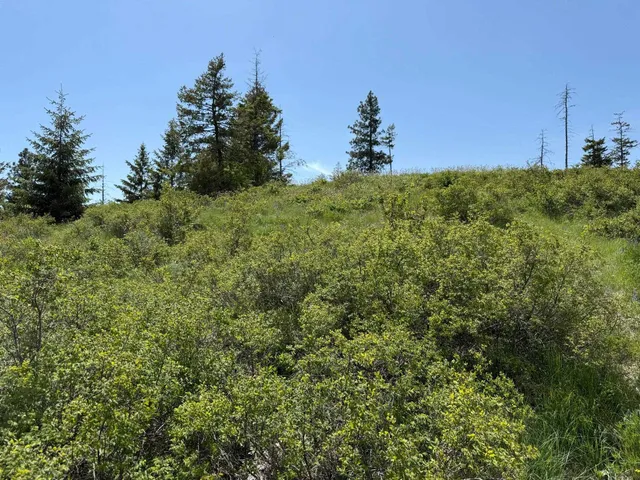 $125,000 | 3774 C Daisy Mine Road, Rice, WA 99167