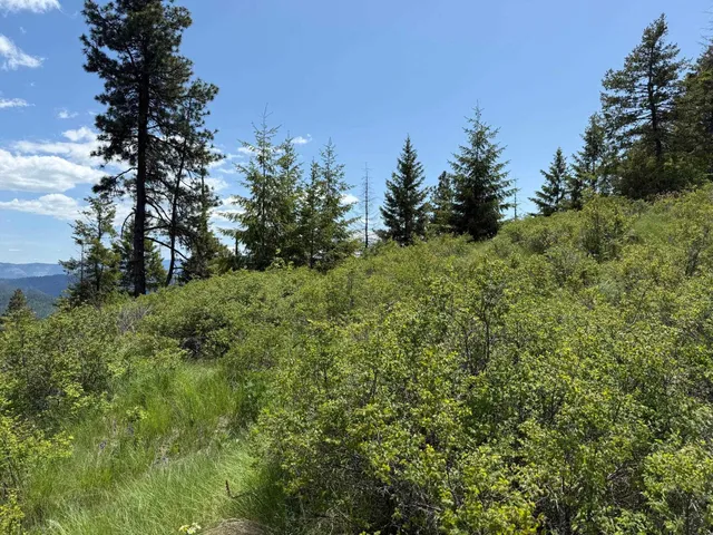 $125,000 | 3774 C Daisy Mine Road, Rice, WA 99167