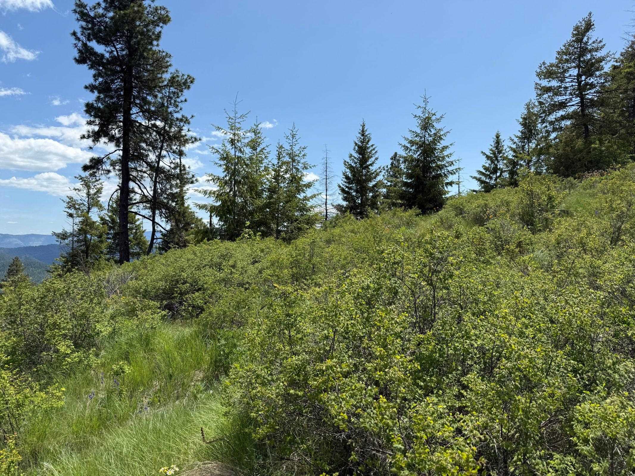 3774 C Daisy Mine Road Rice, WA 99167 - Photo 27 of 29