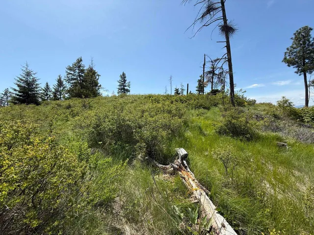 $125,000 | 3774 C Daisy Mine Road, Rice, WA 99167