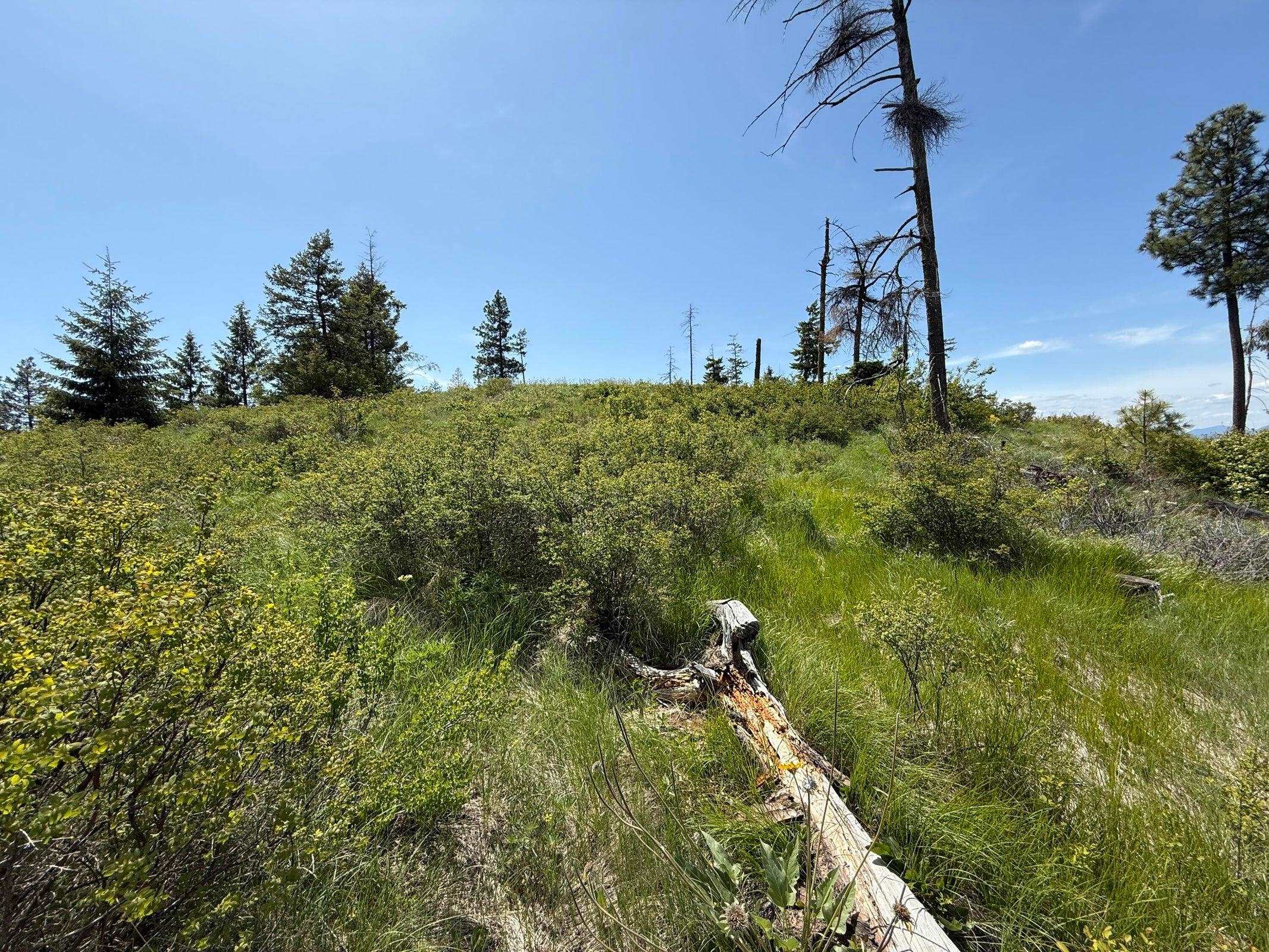 3774 C Daisy Mine Road Rice, WA 99167 - Photo 28 of 29