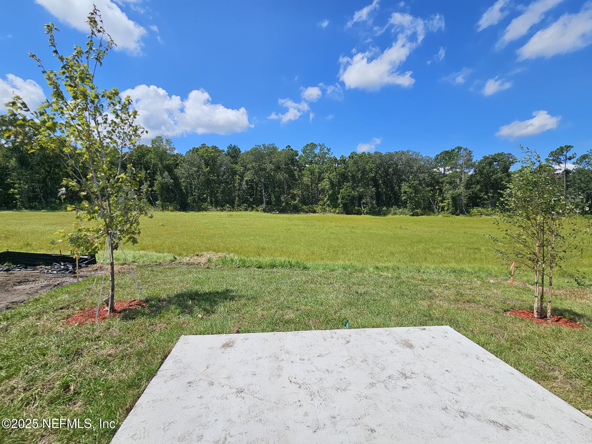 567 Orellana Road St. Augustine, FL 32084 - Photo 23 of 54 backyard