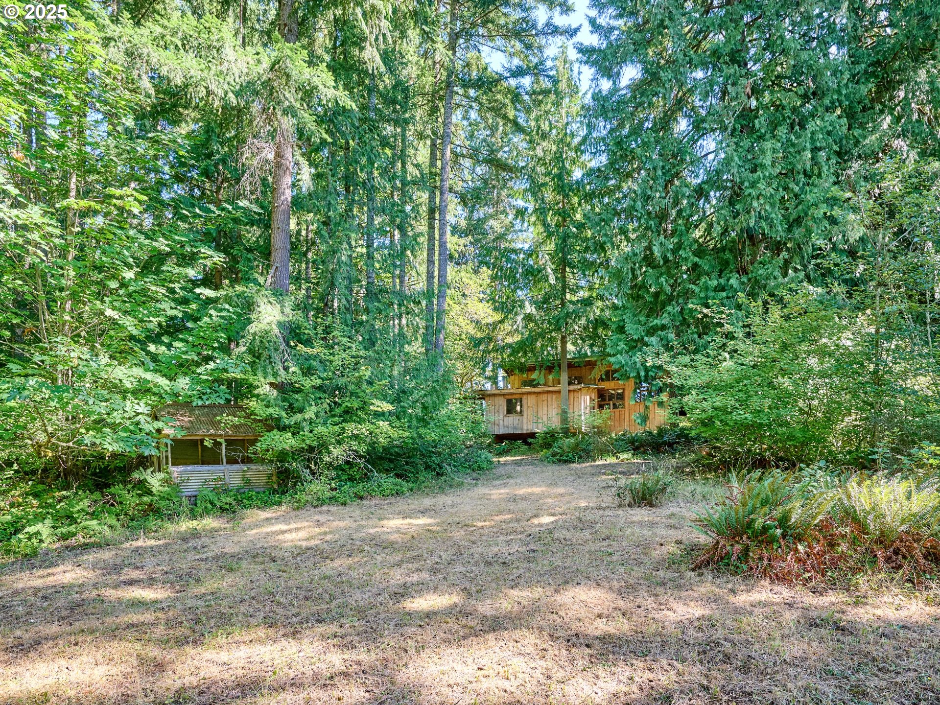 32553 South Dhooghe Road Molalla, OR 97038 - Photo 31 of 48