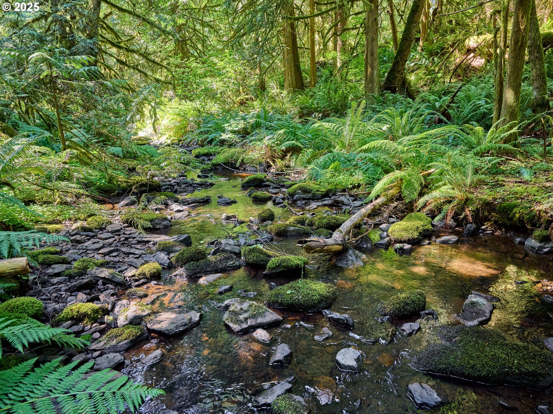 32553 South Dhooghe Road Molalla, OR 97038 - Photo 36 of 48