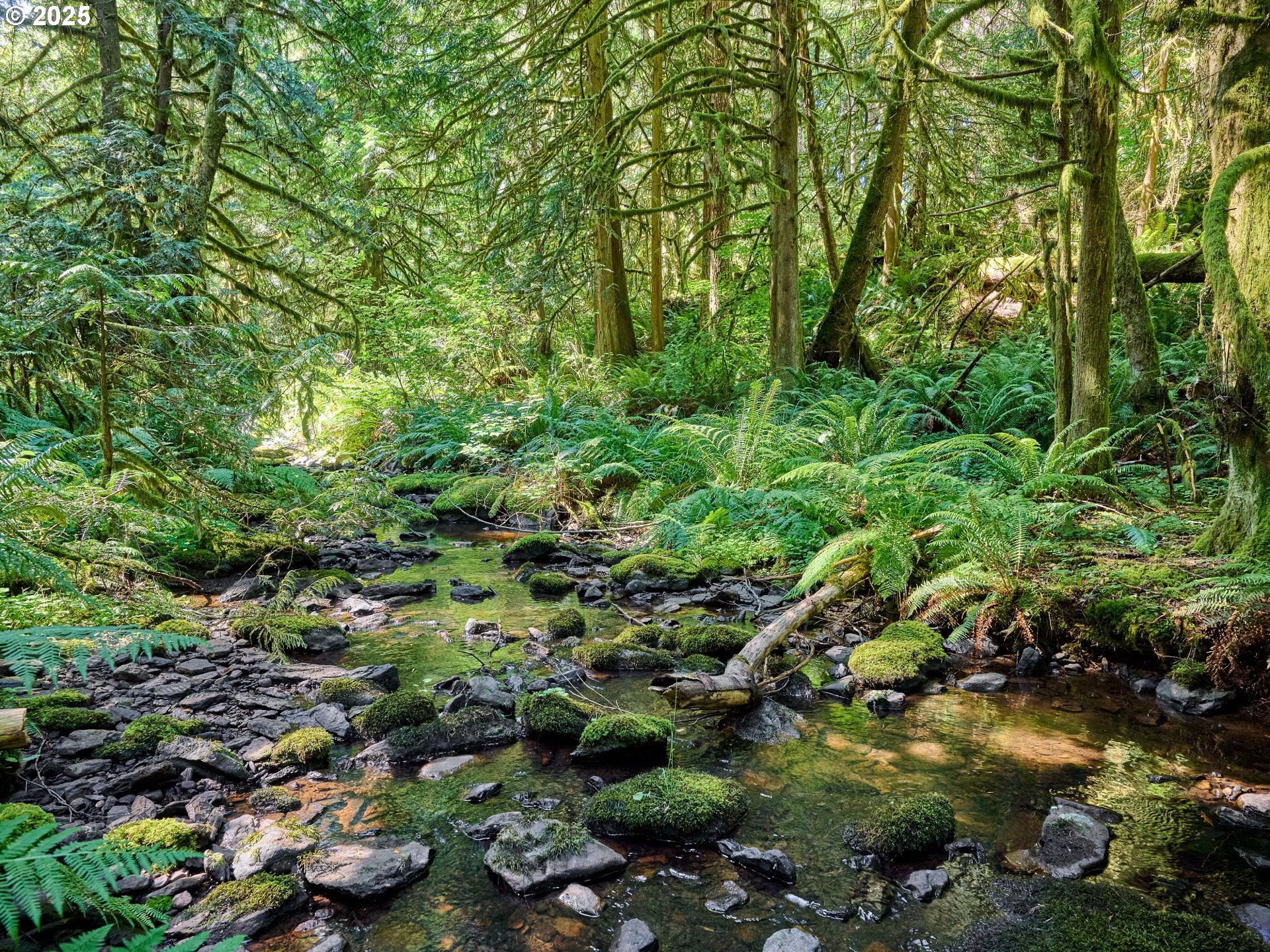 32553 South Dhooghe Road Molalla, OR 97038 - Photo 37 of 48