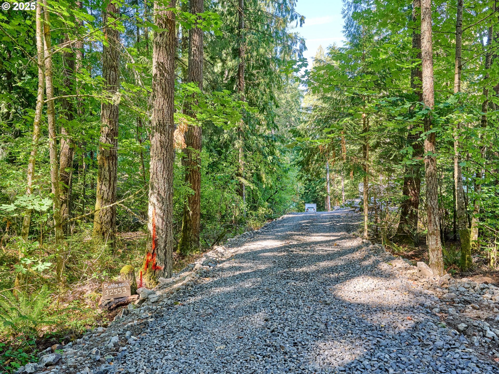 32553 South Dhooghe Road Molalla, OR 97038 - Photo 38 of 48