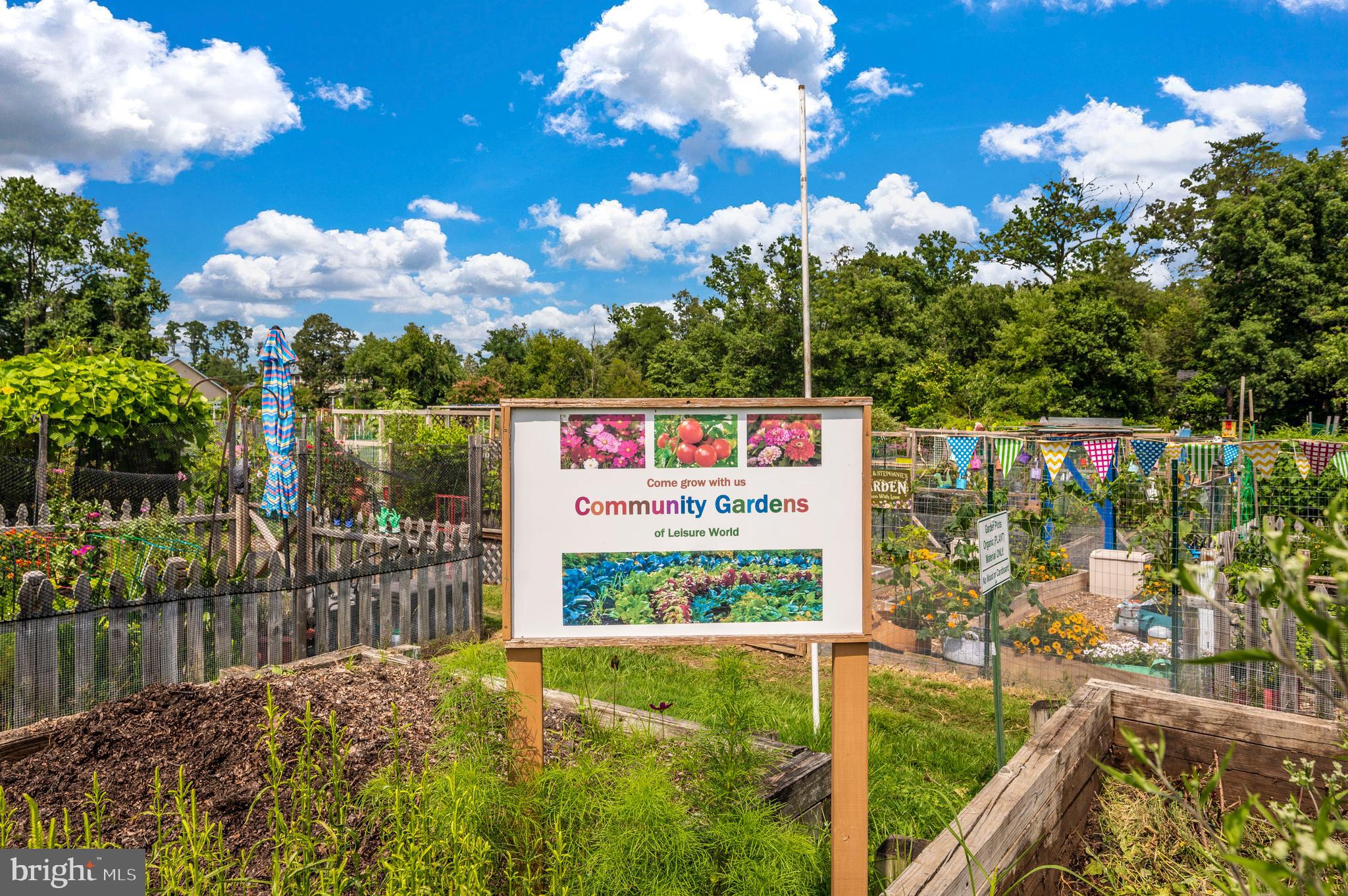 3005 South Leisure World Boulevard, Unit 306 Silver Spring, MD 20906 - Photo 69 of 71