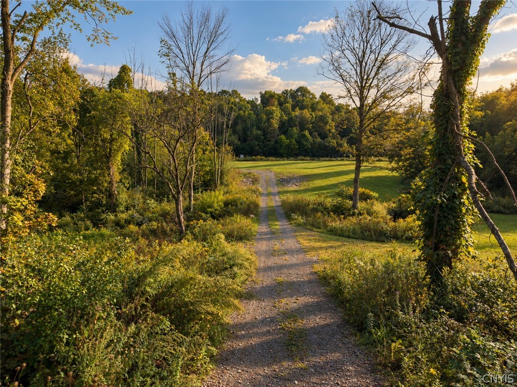 954 Whiting Road Elbridge, NY 13080 - Photo 41 of 48 Gallery Image 41
