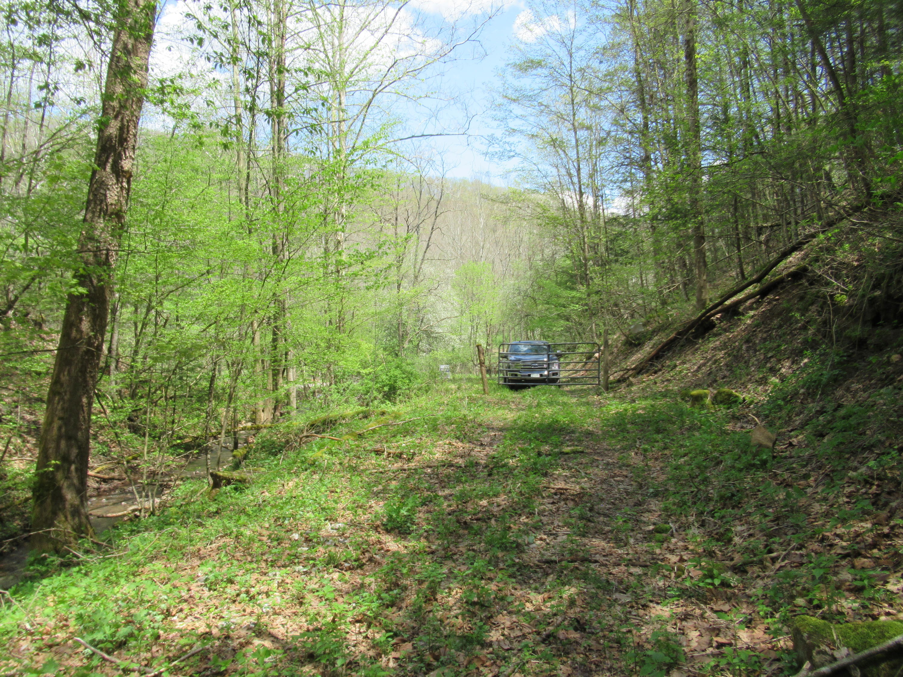Fitzwater Branch Road Renick, WV 24966 - Photo 18 of 18 Gallery Image 18