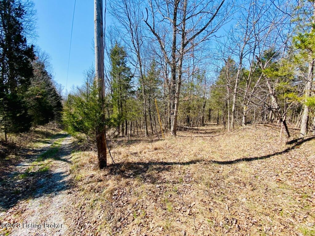 2723 Tatum Ridge Road Willisburg, KY 40078 - Photo 8 of 42 008_79791043