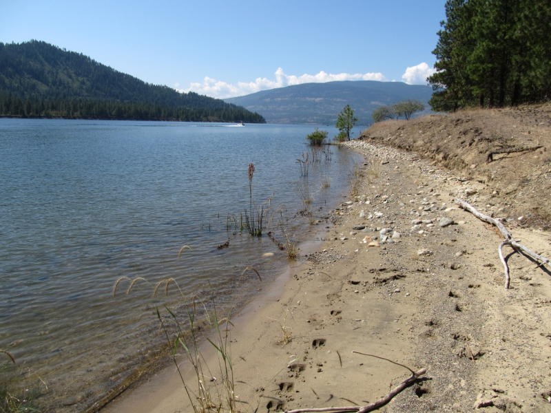 2034 Ray Anderson Road, Unit LOT 7 Kettle Falls, WA 99141 - Photo 4 of 8 Gallery Image 4
