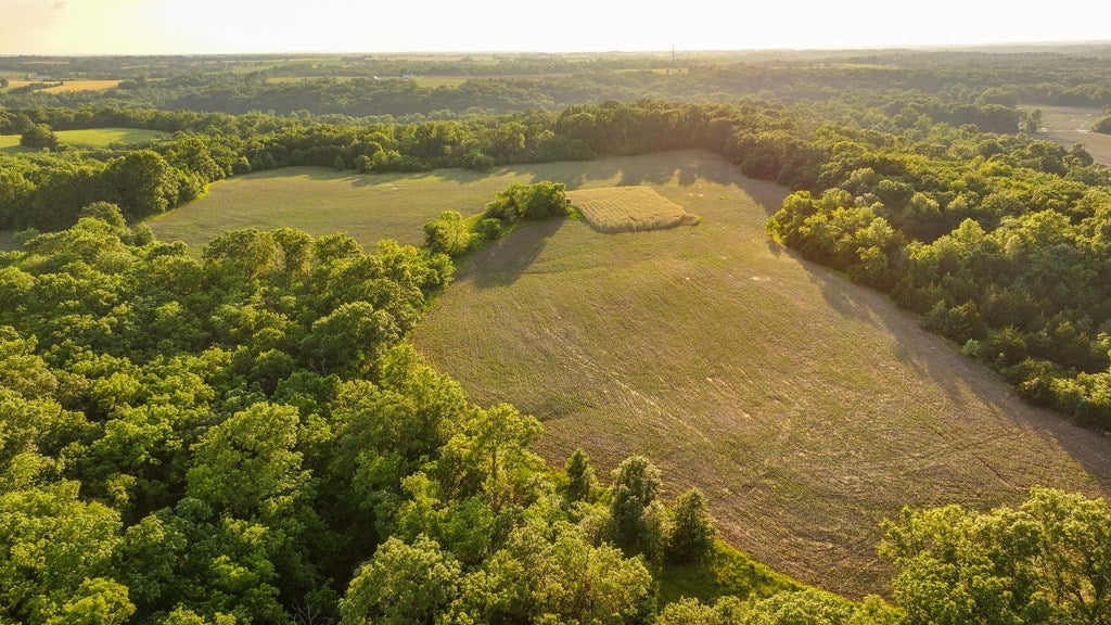 D218 County Road Armstrong, MO 65230 - Photo 12 of 73 Gallery Image 12