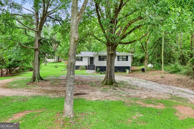 a backyard of a house with plants and large tree