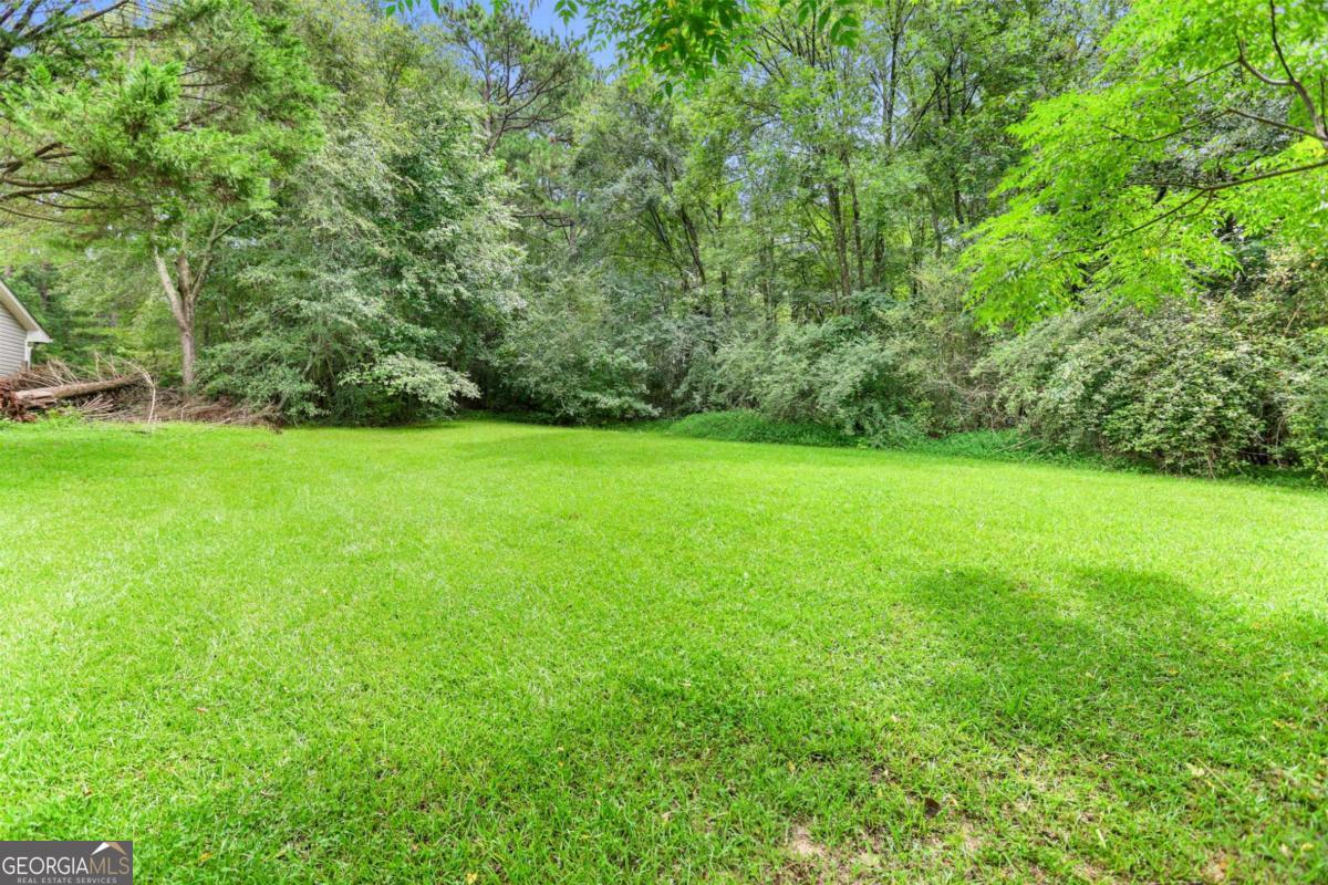 1248 Cannonville Road LaGrange, GA 30240 - Photo 38 of 46 a view of a green field with plants