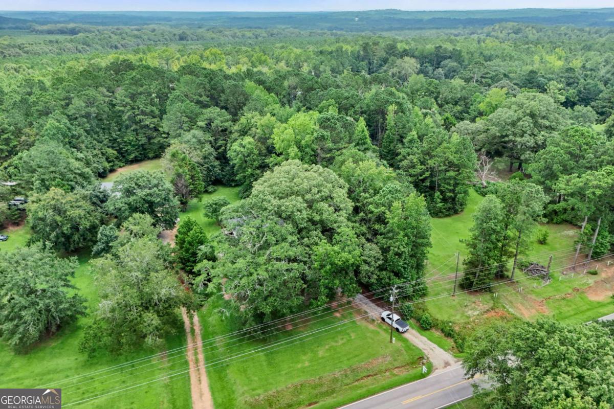 1248 Cannonville Road LaGrange, GA 30240 - Photo 40 of 46 an aerial view of residential houses with outdoor space and trees