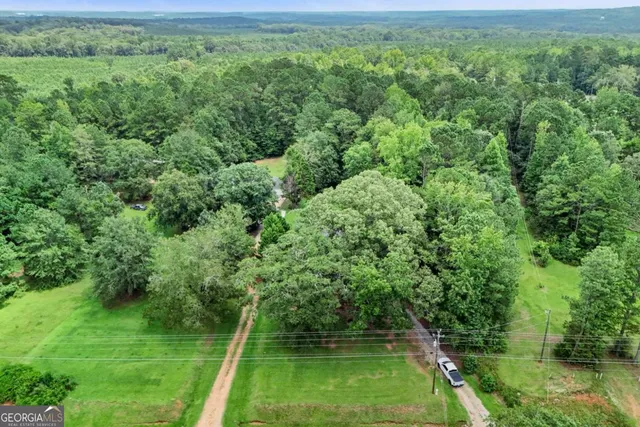 a view of a lush green forest with a houses
