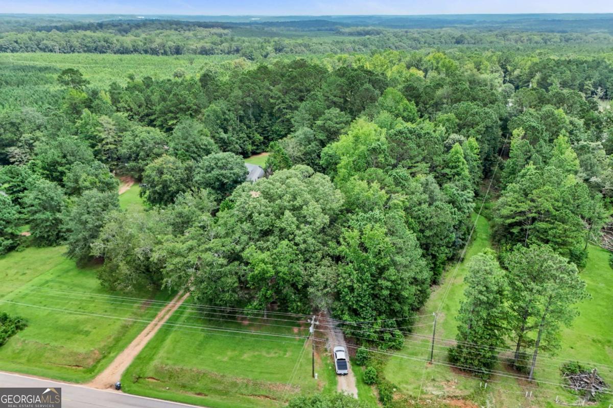 1248 Cannonville Road LaGrange, GA 30240 - Photo 42 of 46 a view of a field with a lush green forest