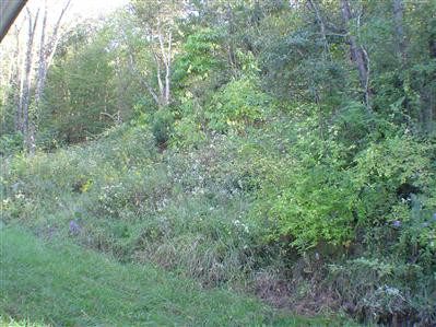 12312 Ryle Road Union, KY 41091 - Photo 7 of 8 Gallery Image 7