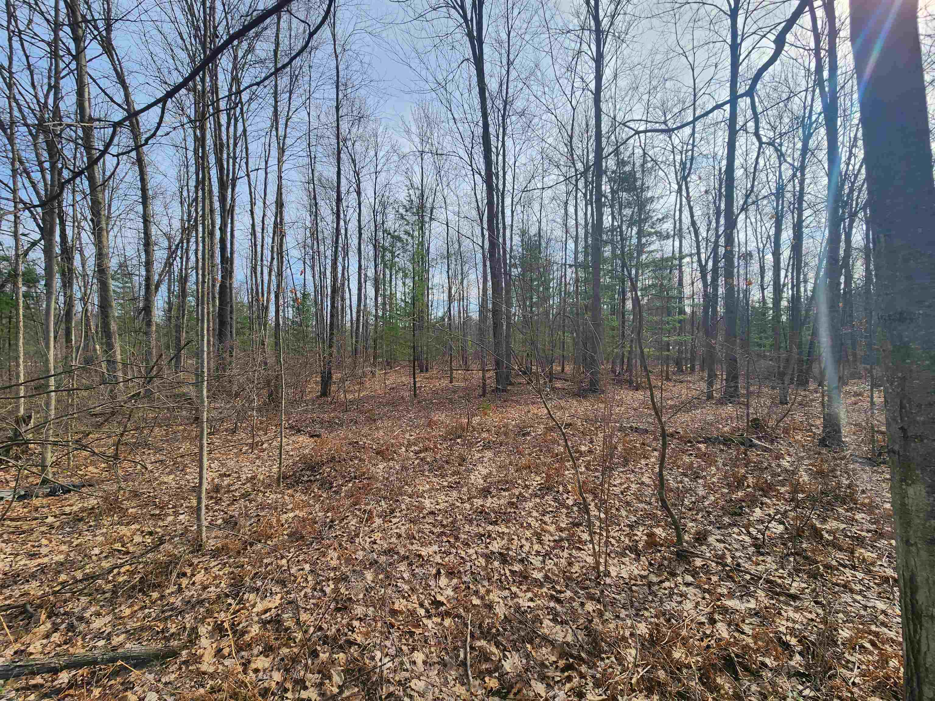 V/l West Howard Road Gladwin, MI 48624 - Photo 6 of 10